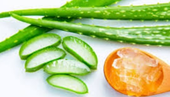 5 loại thảo dược hỗ trợ hạ đường huyết và lưu ý khi sử dụng