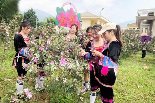 Quảng Ninh phát triển du lịch cộng đồng tại 4 làng dân tộc thiểu số
