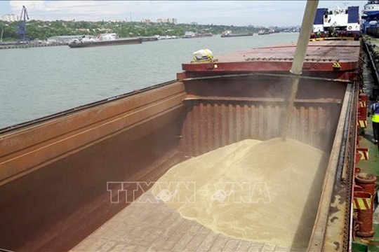 Nga ngừng tham gia thỏa thuận ngũ cốc Biển Đen