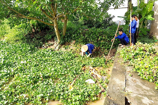 Gần 28 nghìn ha lúa mới gieo cấy, rau màu hè thu ở Hải Dương có khả năng bị ảnh hưởng nếu xảy ra úng ngập