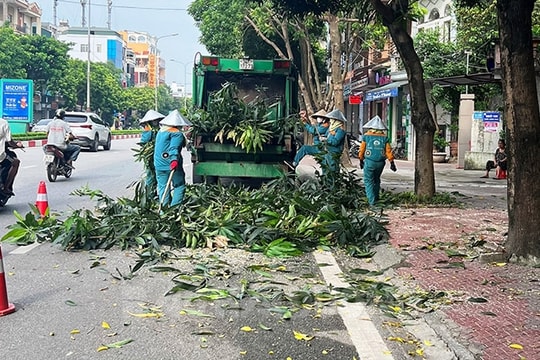 TP Hải Dương cắt tỉa, chặt hạ gần 1.700 cây xanh