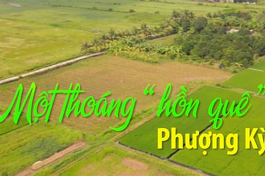 Một thoáng “hồn quê” Phượng Kỳ