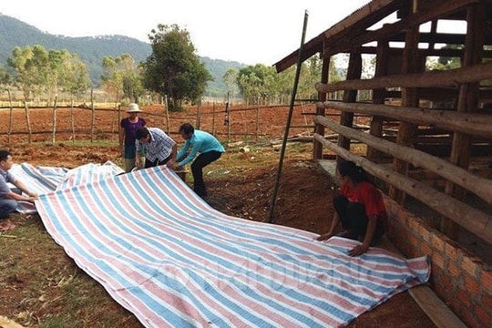 Phòng chống dịch bệnh cho vật nuôi vào mùa mưa bão