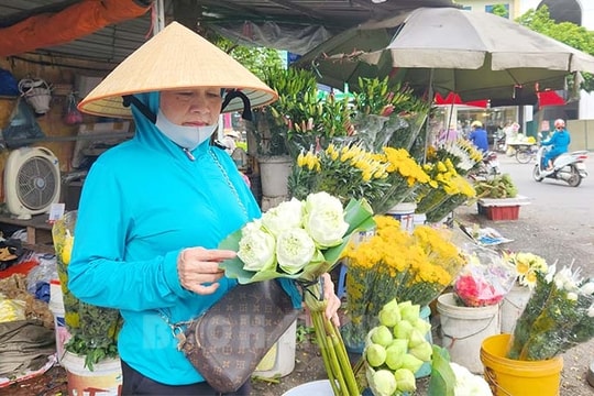 Giá hoa sen tăng nhẹ 