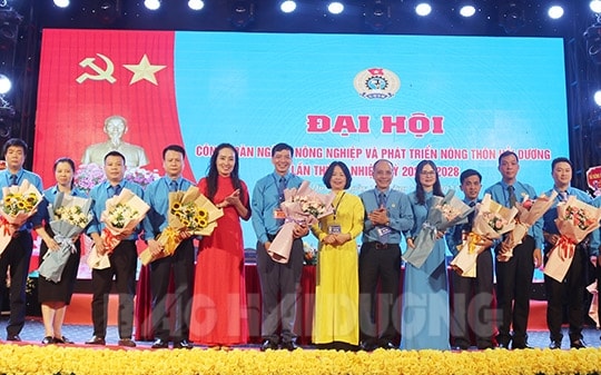 Hải Dương hoàn thành Đại hội Công đoàn cấp trên trực tiếp cơ sở