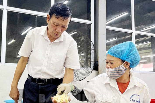Ông Dũng thương binh xây dựng cơ nghiệp trăm tỷ