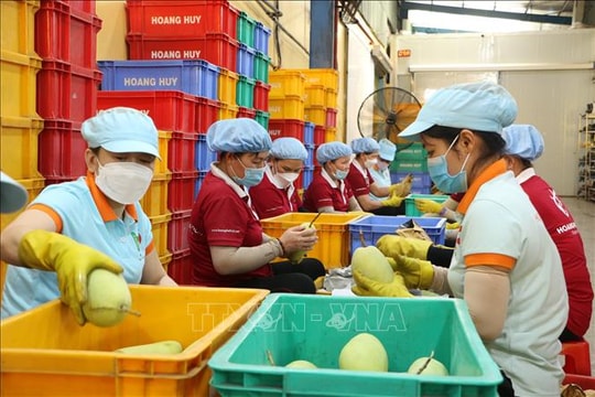 Tăng cường đưa hàng nông sản Việt Nam tới người tiêu dùng Singapore