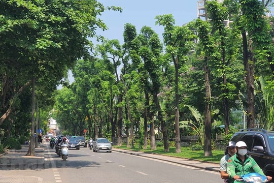 Nắng nóng tiếp diễn tại khu vực Bắc Bộ, thời tiết oi bức