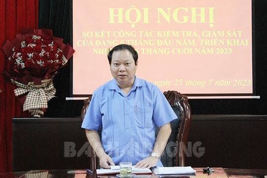 Nâng cao hiệu quả thực chất các cuộc kiểm tra, giám sát