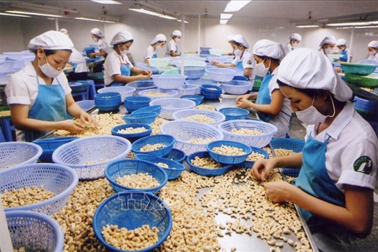 Bộ Công thương cảnh báo về gian lận thương mại tại một số nước Trung Đông