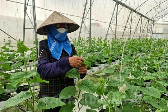 15 địa phương đề nghị thẩm định xã nông thôn mới nâng cao