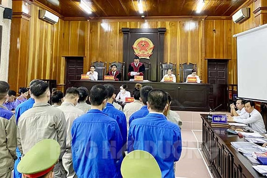 Tòa án Nhân dân 2 cấp sẽ làm việc tất cả các ngày trong tuần