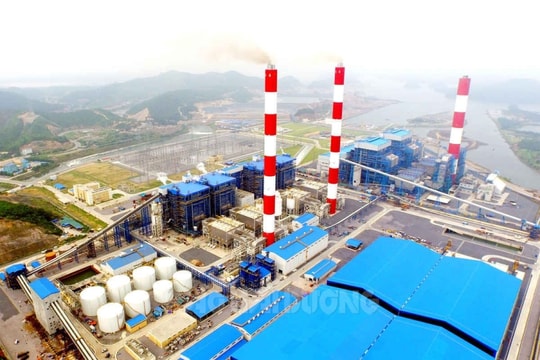 Công ty CP Nhiệt điện Phả Lại  thông tin về khắc phục vi phạm môi trường