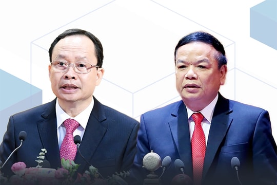 Bộ Chính trị, Ban Bí thư thi hành kỷ luật tổ chức đảng, đảng viên
