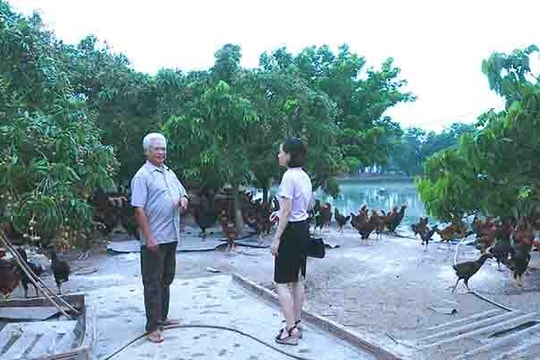 Tín dụng ưu đãi cho người có công