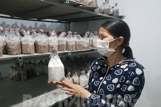 Tứ Kỳ hỗ trợ đưa 14 sản phẩm lên sàn thương mại điện tử