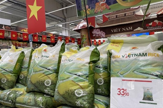 Giá gạo xuất khẩu từ Việt Nam, Thái Lan cao nhất trong hơn một thập kỷ