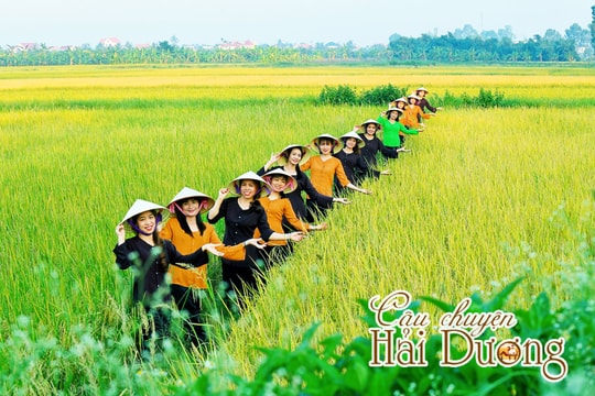 Hải Dương gây dựng nền nông nghiệp xanh