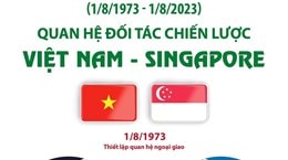 [Đồ họa] Quan hệ Đối tác Chiến lược Việt Nam-Singapore