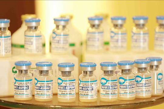 Xuất khẩu vaccine phòng bệnh dịch tả lợn châu Phi sang Philippines, Indonesia