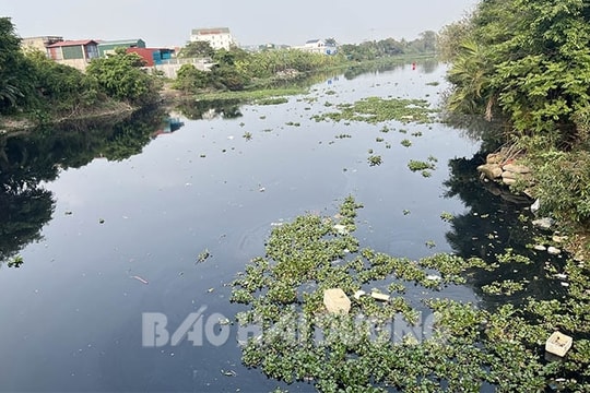 Xác định nguyên nhân gây ô nhiễm nguồn nước hệ thống Bắc Hưng Hải