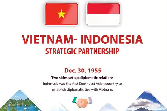 [Infographic] Vietnam, Indonesia enjoy robust relations