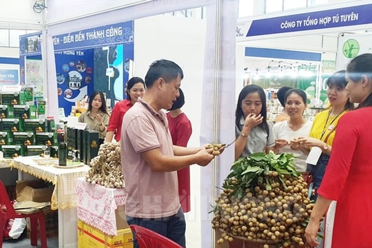 2 gian hàng của Hải Dương tại hội chợ Đà Nẵng thu hút nhiều khách tham quan 
