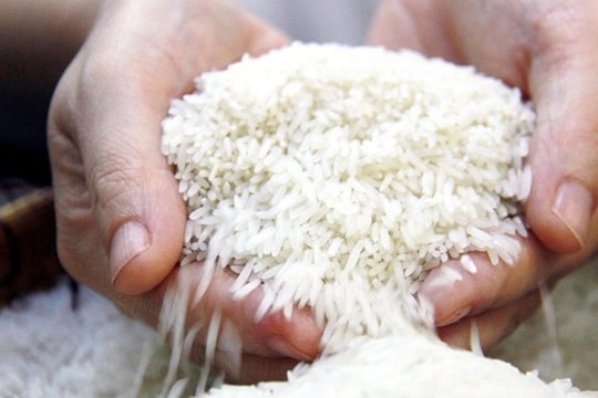 Giá gạo liên tục tăng, doanh nghiệp, đại lý chỉ dám "ôm" cầm chừng 