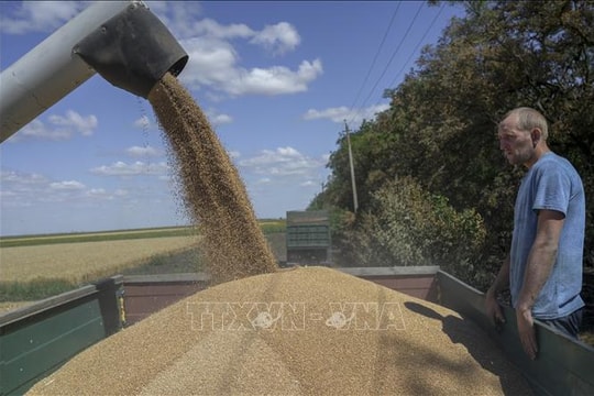 Ba Lan đề xuất EU đầu tư 1 tỷ euro hỗ trợ xuất khẩu ngũ cốc Ukraine 
