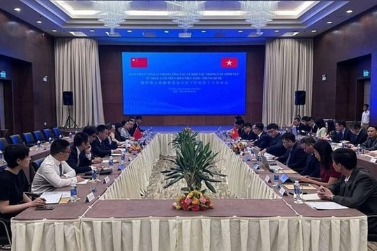 Việt Nam-Trung Quốc đàm phán về hợp tác lĩnh vực ít nhạy cảm trên biển