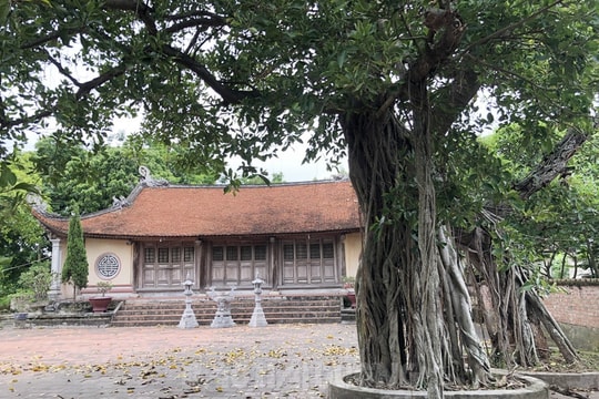 Miếu Phạm Xá, di tích quốc gia ở quê ngoại chúa Nguyễn