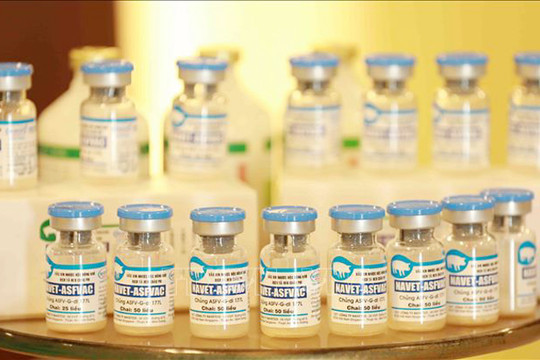 Việt Nam được chú ý khi lần đầu xuất khẩu vaccine phòng dịch tả lợn châu Phi (ASF)