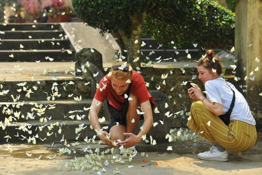 Cuc Phuong National Park again wins at World Travel Award 2023