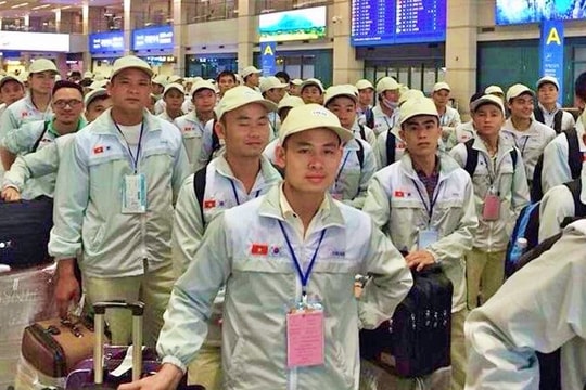 Có thể đi xuất khẩu lao động tự túc hay phải qua công ty môi giới?