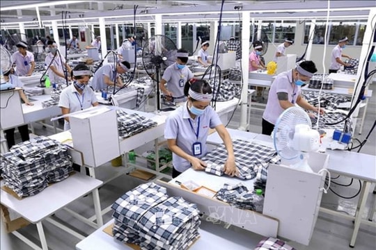 Mức tăng lương tối thiểu vùng năm 2024 dự kiến là bao nhiêu?