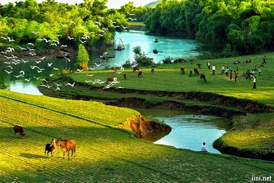 Nhớ làng