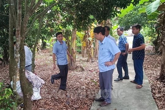 Khẩn trương khoanh vùng, dập dịch sốt xuất huyết tại xã Thanh Sơn