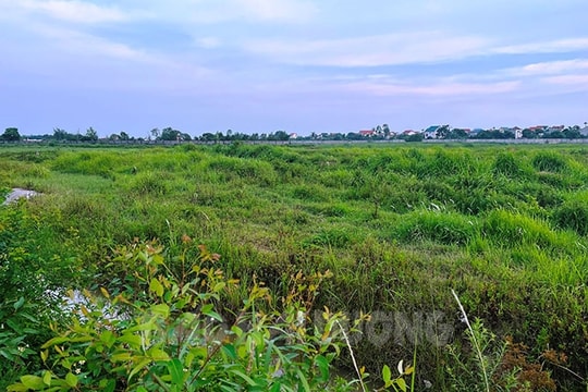 Công ty CP Vinamit tiếp tục đề xuất thực hiện dự án khu thương mại dịch vụ và dân cư mới
