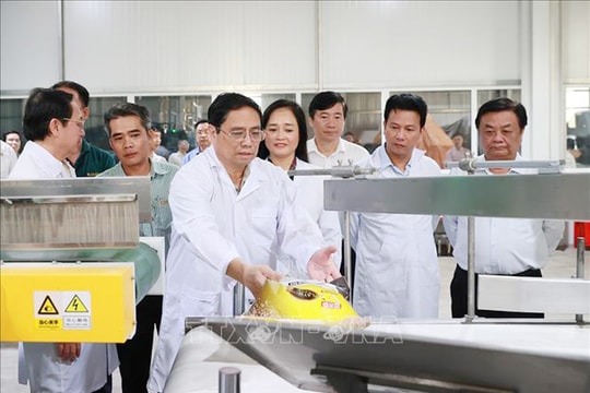 Thủ tướng Phạm Minh Chính thăm, làm việc tại Đồng Tháp
