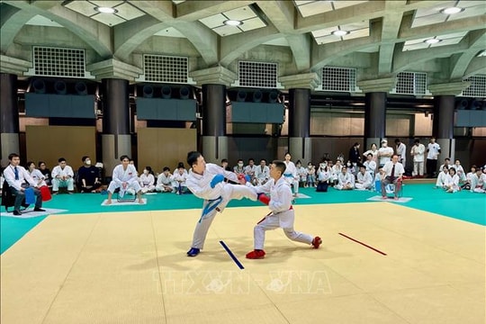 Sôi nổi giải đấu Karate của người Việt tại Nhật Bản