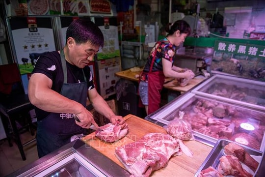 Trung Quốc mở nhà máy thịt nhân tạo, lo an ninh thực phẩm cho 1,4 tỷ dân 