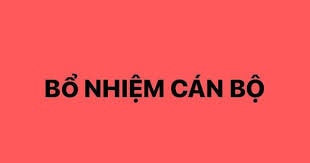 Bổ nhiệm Trợ lý Thủ tướng Chính phủ