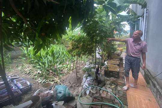 1 người dân ở xã Thanh Hải bị cản trở quyền sử dụng đất