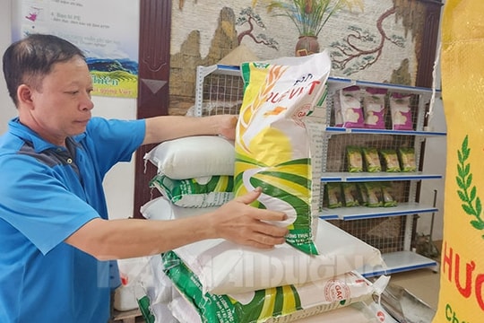 Giá gạo, cá lăng tăng mạnh