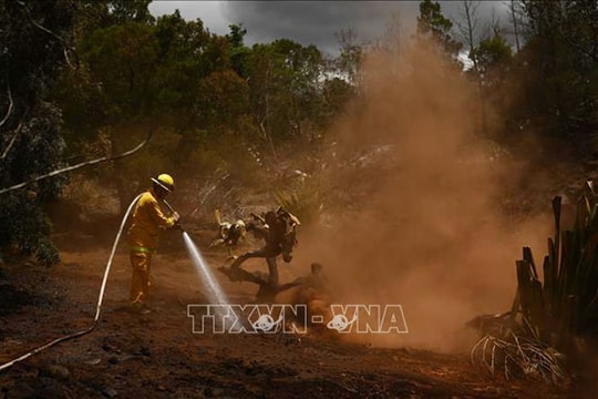 Nguy cơ nhiễm độc hóa chất sau thảm họa cháy rừng tại Maui