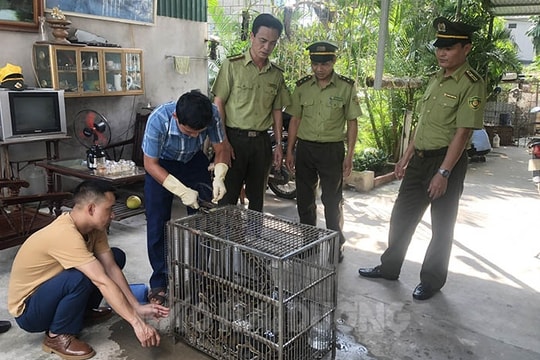 Bàn giao 3 cá thể khỉ và 1 con trăn gấm về vườn quốc gia