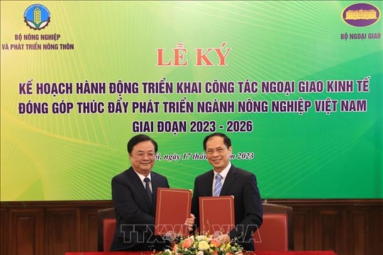 Phối hợp triển khai ngoại giao kinh tế đưa nông sản Việt vươn xa