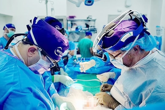 Thận lợn sống khỏe trong cơ thể người