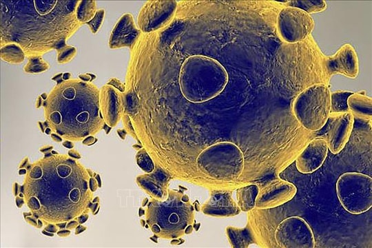 Mỹ phát hiện biến thể mới của virus SARS-CoV-2
