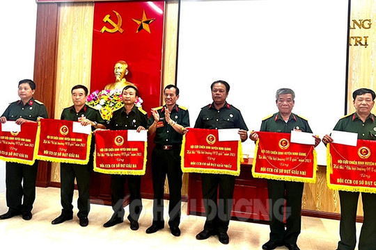 Lần đầu Hải Dương tổ chức thi Chi hội trưởng cựu chiến binh giỏi